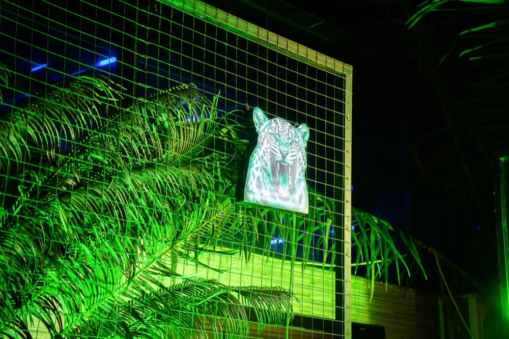 Club interior lit in green neon
